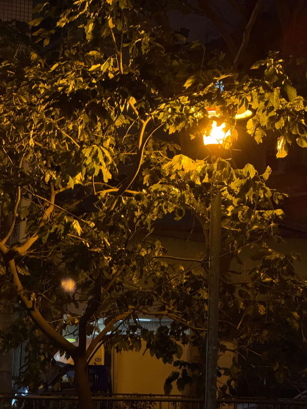 20250307-01