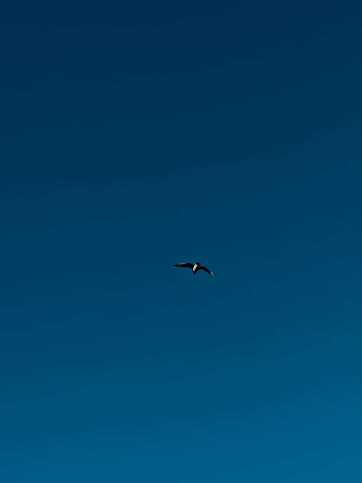 20260103-04