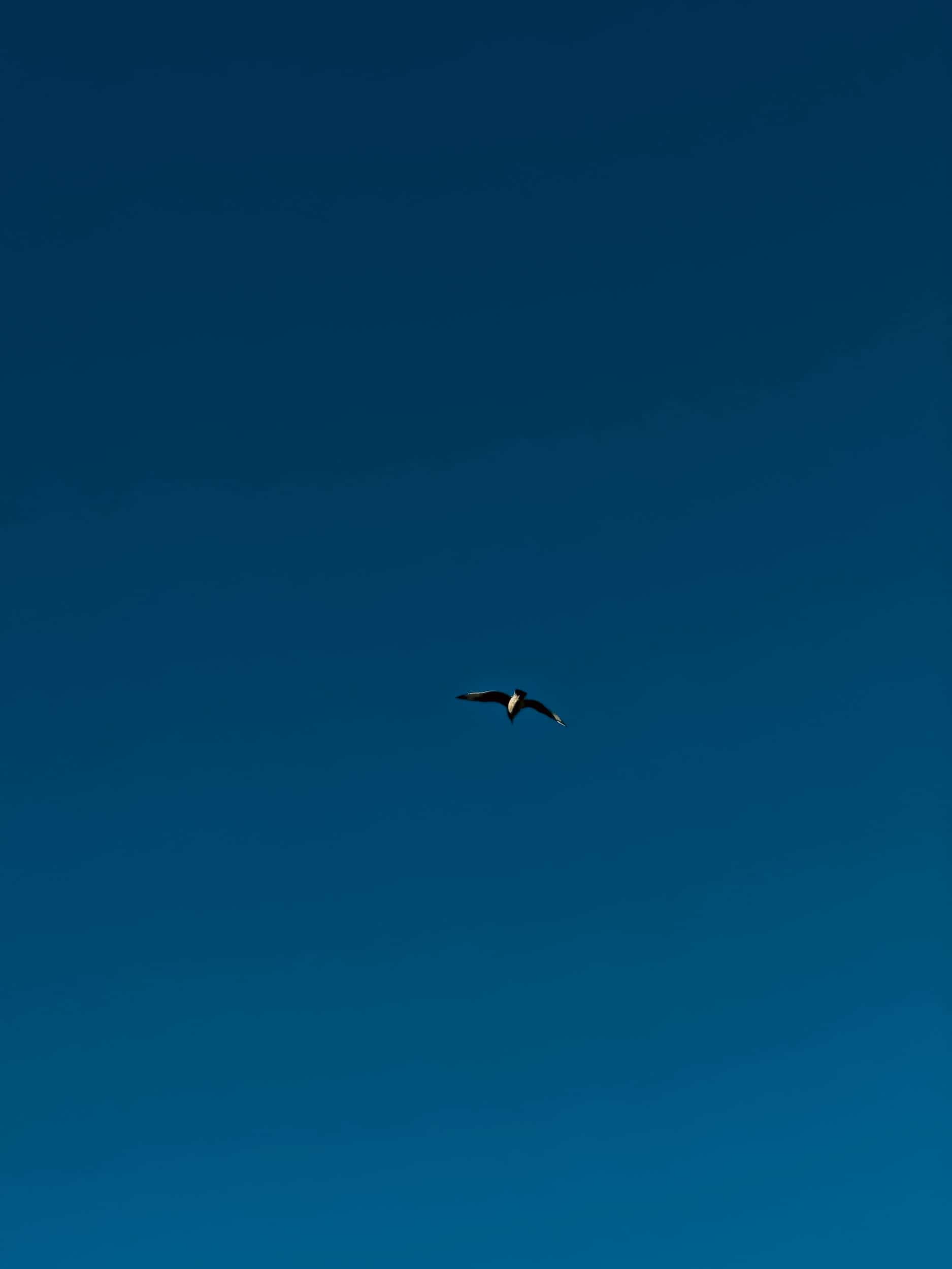 20260103-04