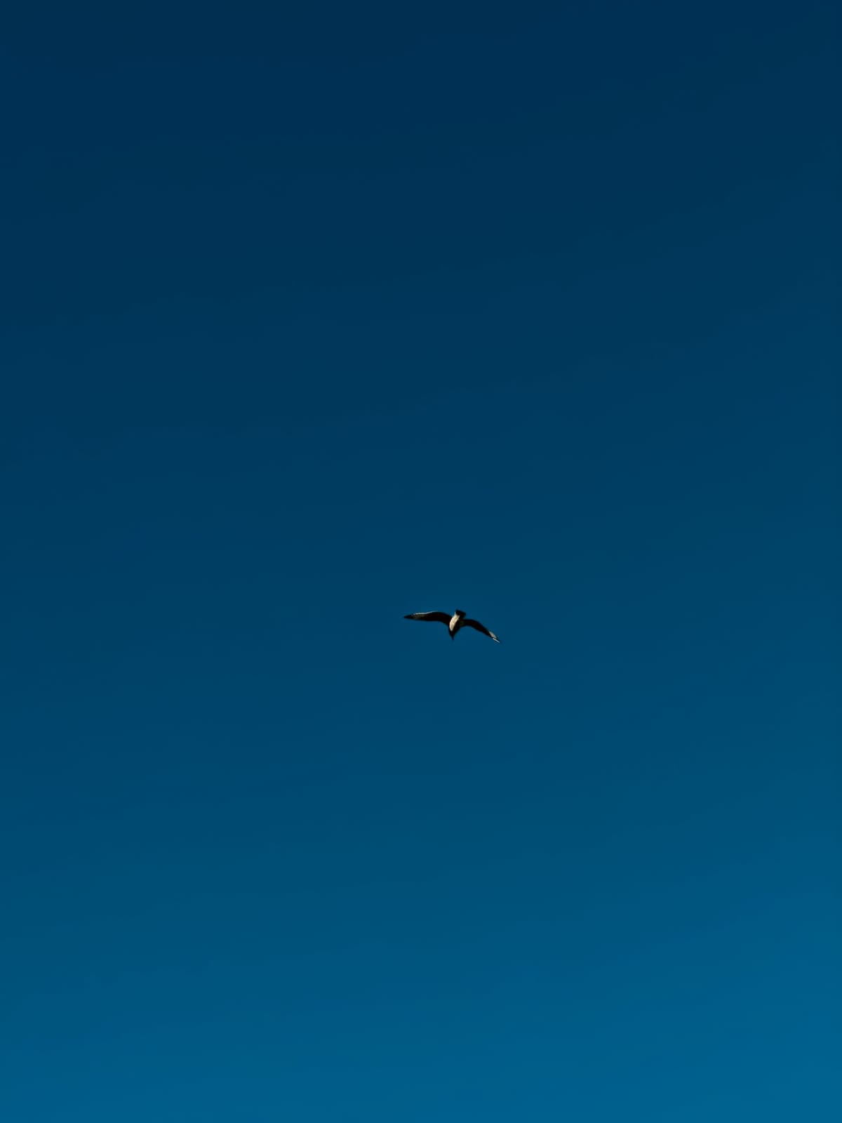 20260103-04