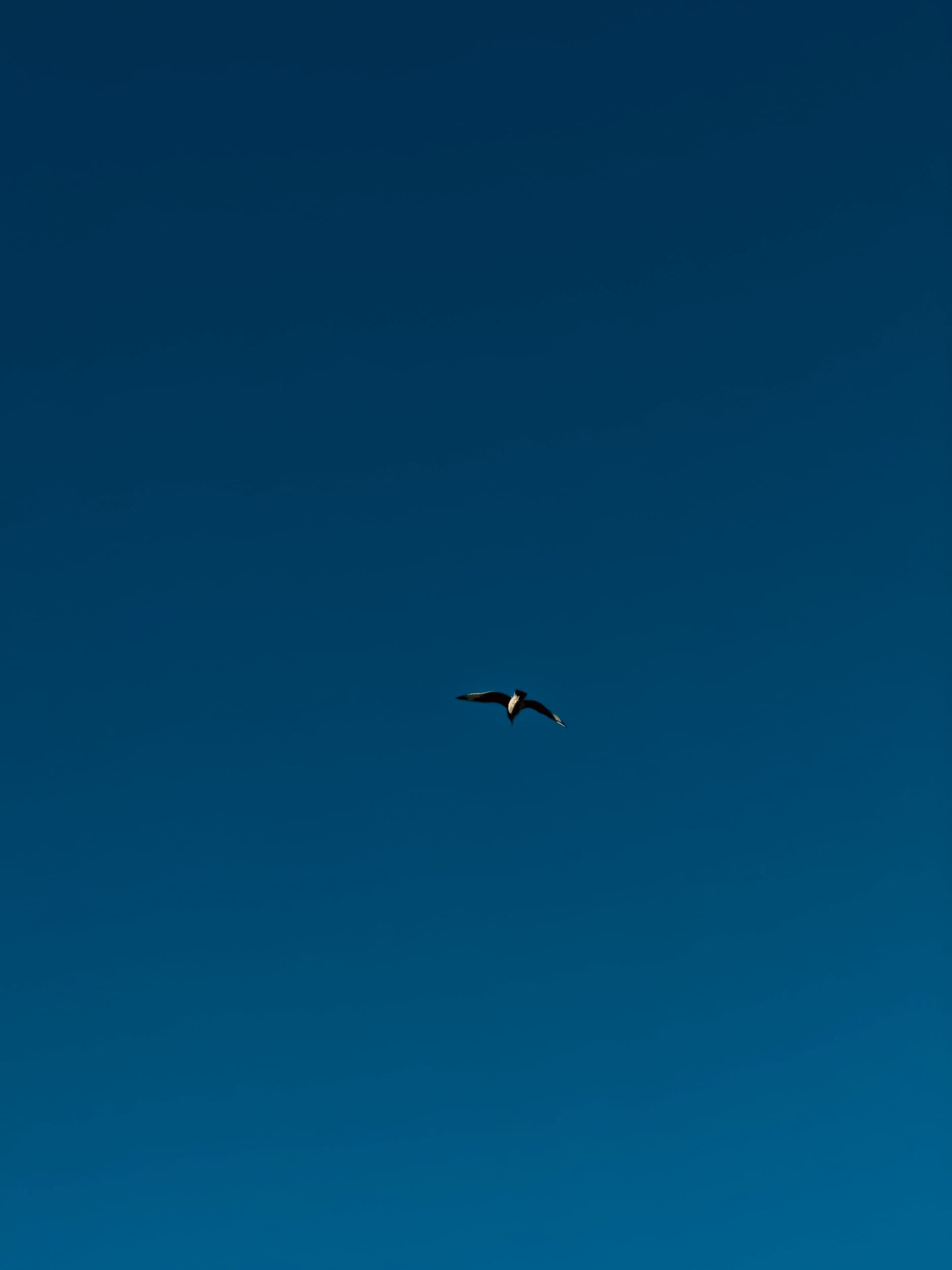 20260103-04